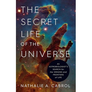 Secret Life of the Universe (0000)