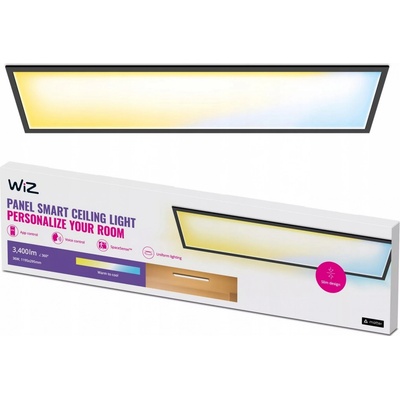 WiZ WI0067
