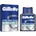 Gillette Series Arctic Ice Bold 100 ml