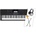 Casio CTX700 SET