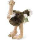 Rappa pštros Emu 32 cm