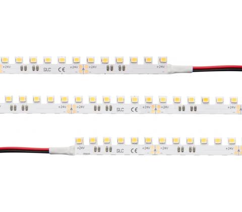 TLG S14021