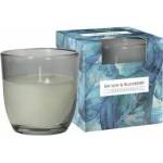BISPOL Bay leaf & blackberry 100 g
