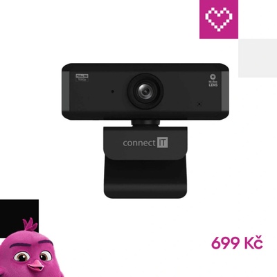 Connect It WebYouSee CCW-2000