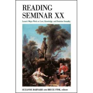 Reading Seminar Xx | Suzanne Barnard, Bruce Fink (ISBN: 9780791454329)