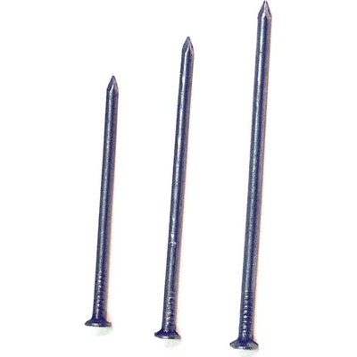hřebík stavební 100x4,0mm (1kg)