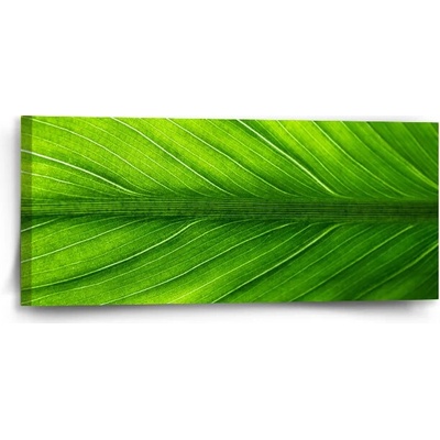 Sablio Obraz List 2 - 110x50 cm