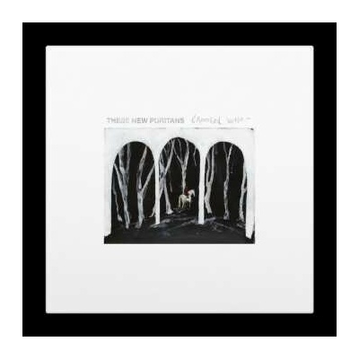 These New Puritans - Crooked Wing CLR LP