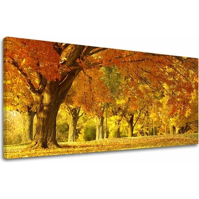 Obraz na stěnu PANORAMA STROMY - 70x140 cm