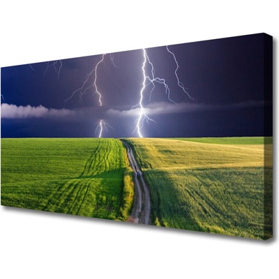 Obraz na plátne Pole blesk krajina 100x50 cm