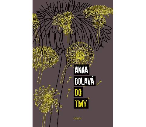Anna Bolavá - Do tmy