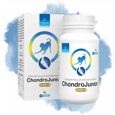 Pokusa ChondroLine ChondroJunior 120 tab.