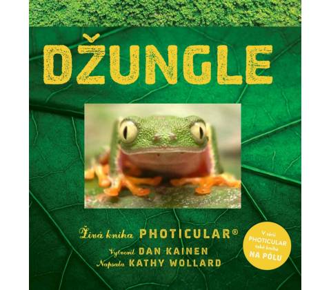 Džungle