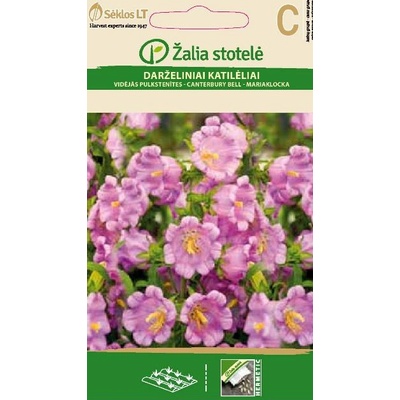 Seklos Кампанула Камбани Кентербъри Campanula medium