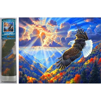 Norimpex Diamantové maľovanie Majestátny dravec 30 x 40 cm