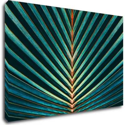 Impresi Obraz Palmový list - 90 x 60 cm