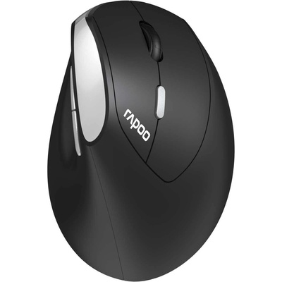 Rapoo EV250 (215045)