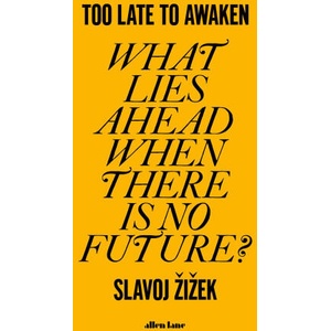 Too Late to Awaken (ISBN: 9781802063677)