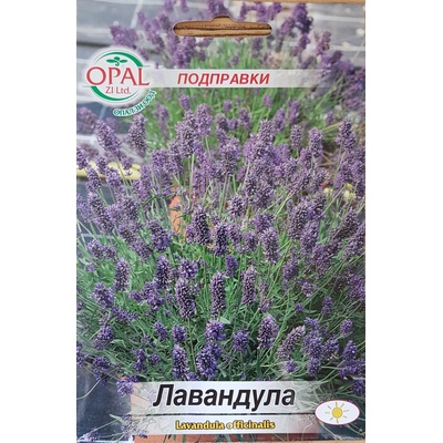 Opal Zi Лавандула Lavandula officinalis