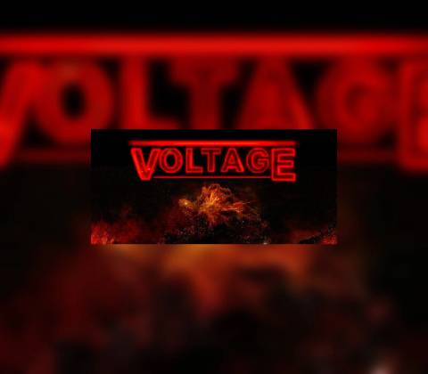 Voltage