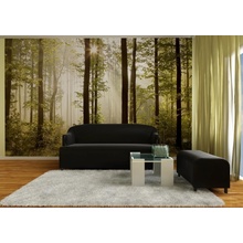 AG Design FTNS-2447 vliesová fototapeta Ranní les rozmery 360 x 270 cm