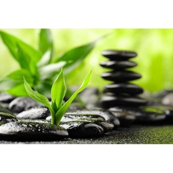 DIMEX ART Флизелинов фототапет дзен камъни 375 x 250 см