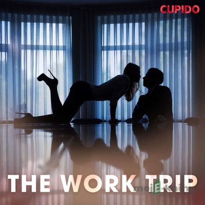 The work trip (EN) - Cupido