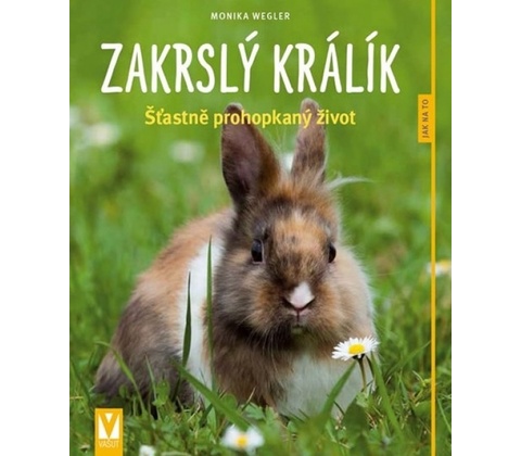 Zakrslý králík