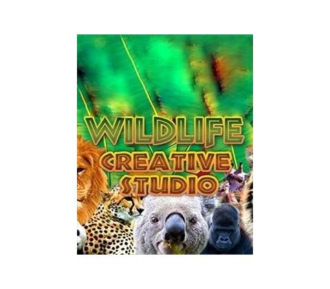 The Wildlife Creative Studio