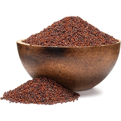 Grizly Brokolice BIO semínka na klíčení 250 g