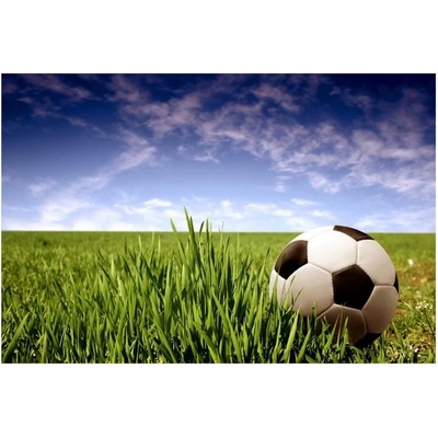 Dimex MS-5-0305 vliesová fototapeta na zeď Futbalová lopta rozmery 375 x 250 cm
