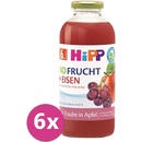 HIPP BIO Jablko a červené hrozno + železo 6 x500 ml