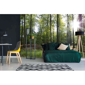 DIMEX ART s. r. o Самозалепваща се флизелинова фототапета бук през есента 375 x 250 см