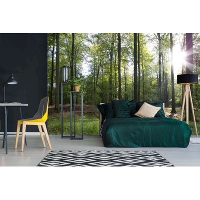 DIMEX ART Самозалепваща се флизелинова фототапета бук през есента 375 x 250 см