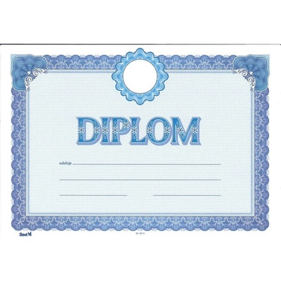 DIPLOM_3074 Diplom A4 A4