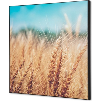 Jansen Display Textilní dekorace na zeď 40 x 40 Obilné Pole, 400 x 400 mm