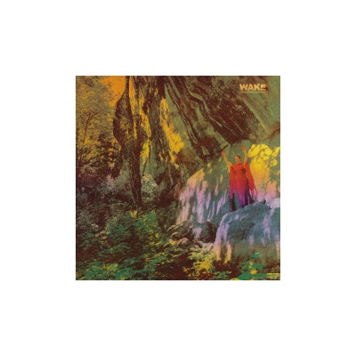 WAKE - THOUGHT FROM DESCENT BLACK LP