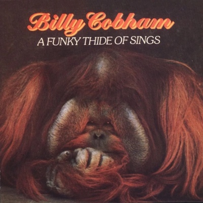 Cobham Billy: A Funky Thide of Sings CD
