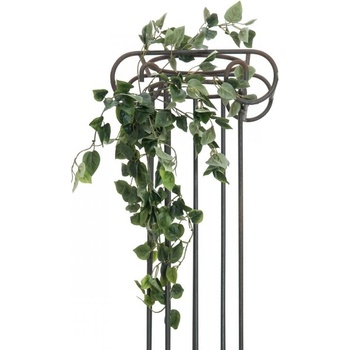 Philodendron trs klasický, 60cm