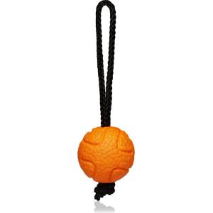 Explorer Dog AirBall 6, 5 cm Цвят: оранжев
