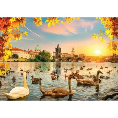 Magnolia Labutě u Karlova mostu 1000 dílků