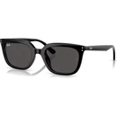 Ray-Ban RB4439D 901/87