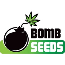 Bomb Seeds Godfather Bomb semena neobsahují THC 5 ks