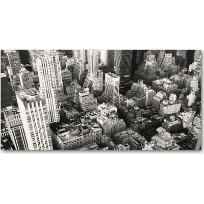Fotoobraz sklenený na stenu do obývačky New York vtáčie pohľad 100x50 cm