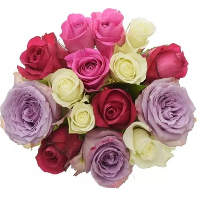 Kytice 15 míchaných růží PURPLE NAOMI 40cm