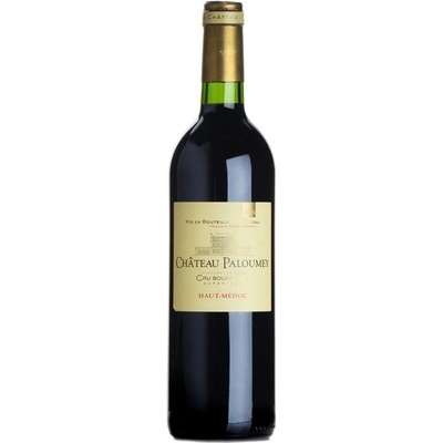 Chateau Paloumey Haut Medoc suché červené 2009 14% 0,75 l (holá láhev)