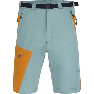 Direct Alpine Vulcan Short arctic
