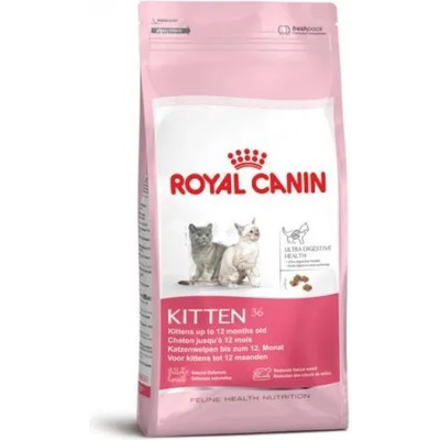 Royal Canin FHN Kitten 36 10 kg