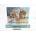 Castorland *CAS. PUZZLE 2000 pieces Christmas Madeira