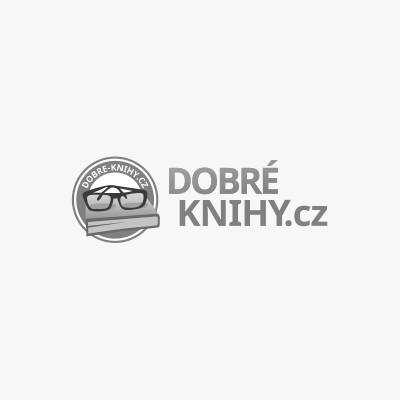Kouzelné sedlo